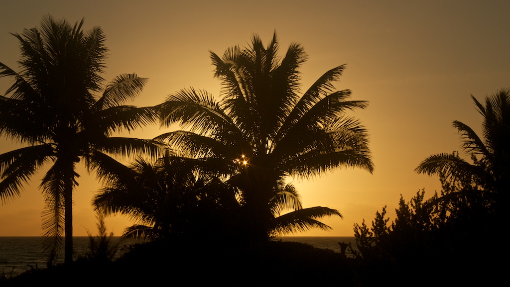 Tropical Sunrise